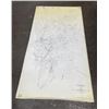 Image 1 : Chief Consolidated Mining Company Utah Map