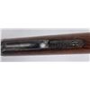 Image 14 : Winchester Model 1886 45-70 Rifle