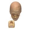 Image 1 : A Series of Unfortunate Events (2017-2019) - Count Olaf (Neil Patrick Harris) Bald Cap And Nose
