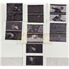 Image 1 : Harry Potter Film Series - CG Storyboard Set Showing Harry (Death Eater Attack) and Two Showing Ron