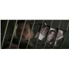 Image 2 : Mission: Impossible - Fallout (2018) - Prop Photo of Ethan Hunt's Wife Julia (Michelle Monaghan)