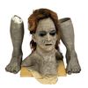 Image 1 : Percy Jackson: Sea of Monsters (2013) - Gray Sister (Missi Pyle) Face & Feet Prosthetics