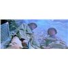 Image 10 : Windtalkers (2002) - Joe Enders (Nicolas Cage) Hero Blank Firing 1911 and US Military Holster