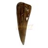 Image 3 : Jurassic World (2015) - Screen Used Indominus Rex Tooth