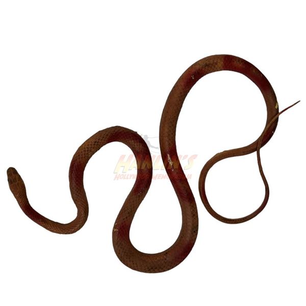 Raiders of the Lost Ark (1981) - Prop Snake