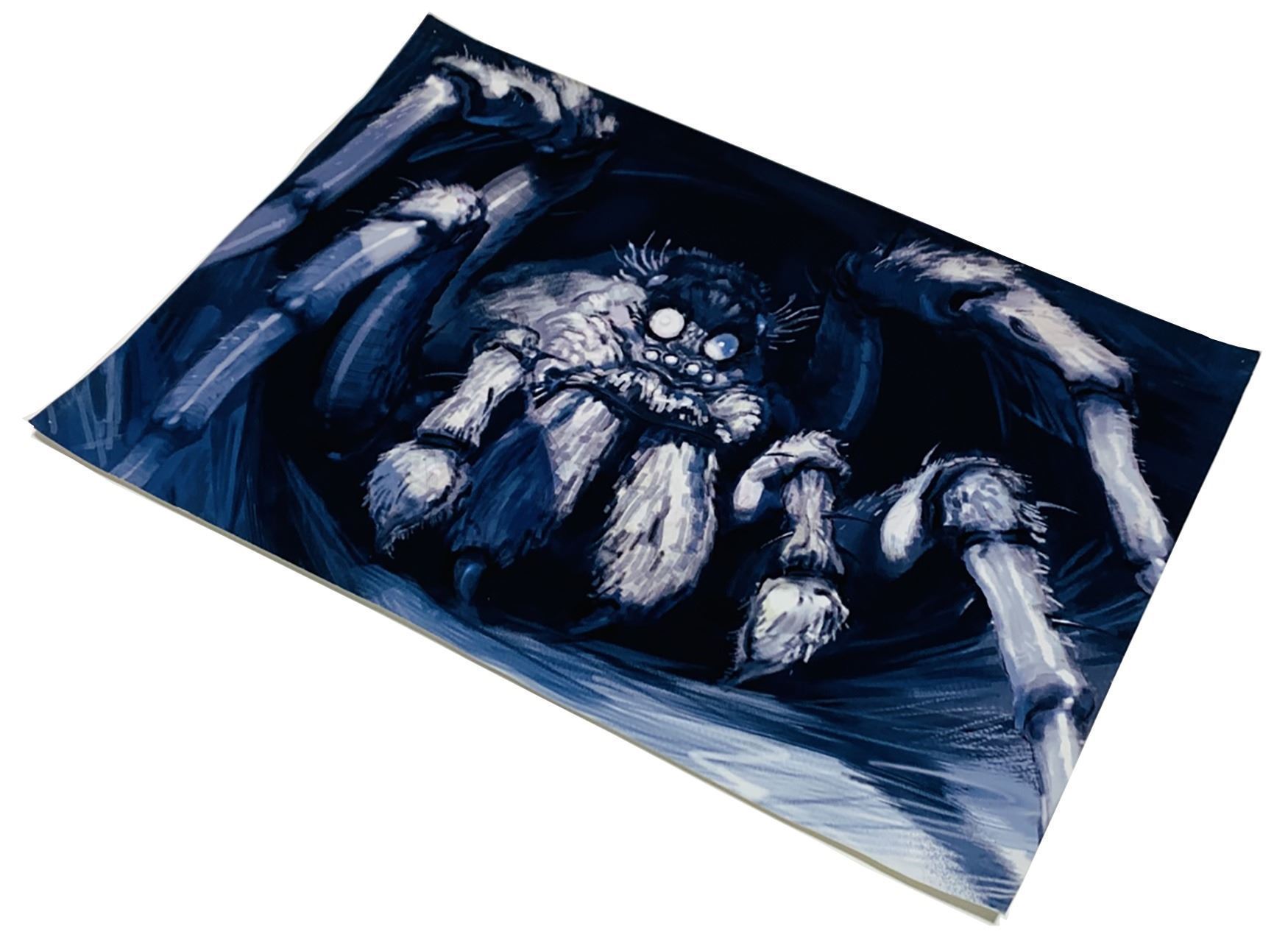Harry Potter and the Prisoner of Azkaban (2004) - Aragog Design Print