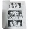 Image 2 : Harry Potter and the Prisoner of Azkaban(2004) - 36 Pages of Storyboards “Grim attacks Ron, the Whu