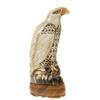 Image 4 : Rare White Buffalo Horn Scrimshaw Hawk   (CLB-129)