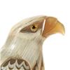 Image 5 : Rare White Buffalo Horn Scrimshaw Hawk   (CLB-129)
