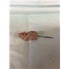 Image 1 : Vintage toy mouse with Springtail