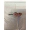 Image 2 : Vintage toy mouse with Springtail