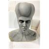 Image 1 : TWILIGHT ZONE - Foam Mold of the Grey Alien Queen