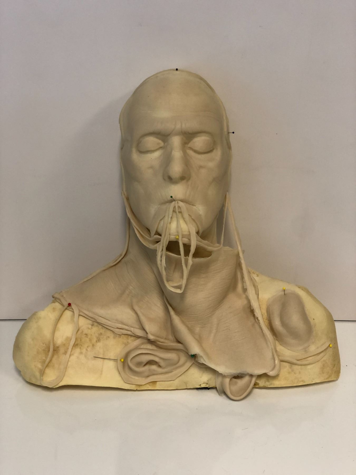 Special effects latex cowl over foam male head bust