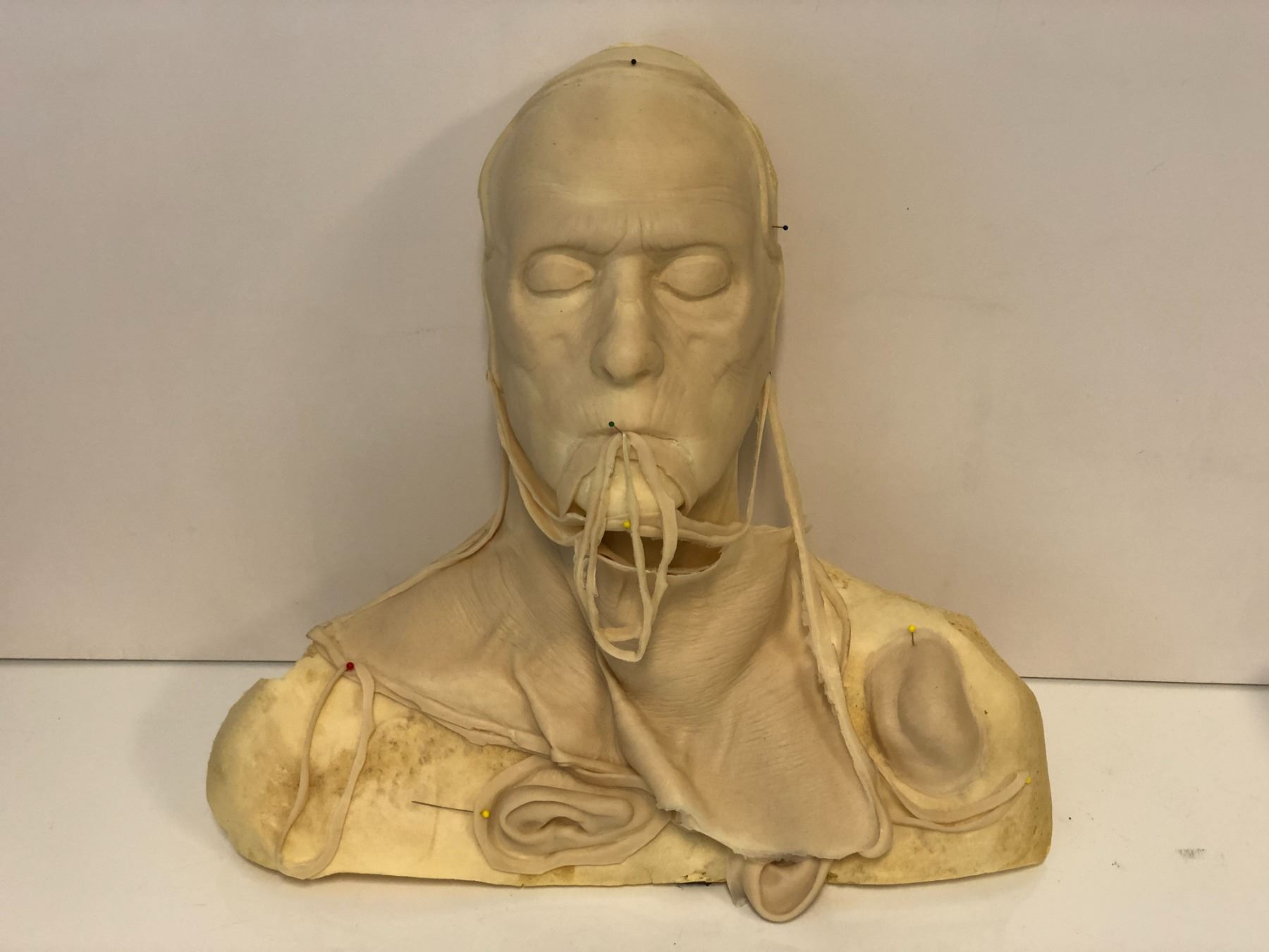 Special effects latex cowl over foam male head bust