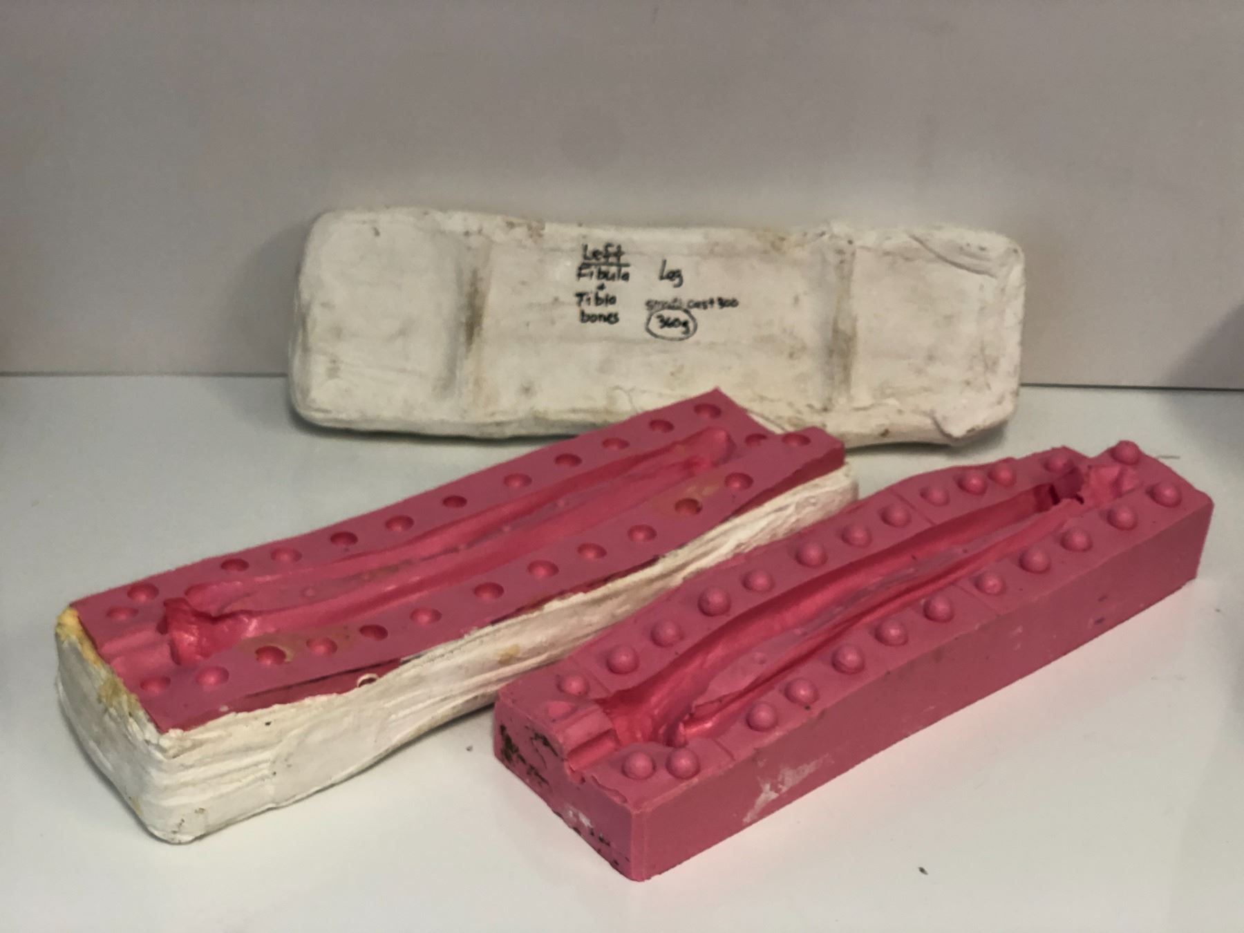 Generic left fibula & tibia bones smooth cast mold