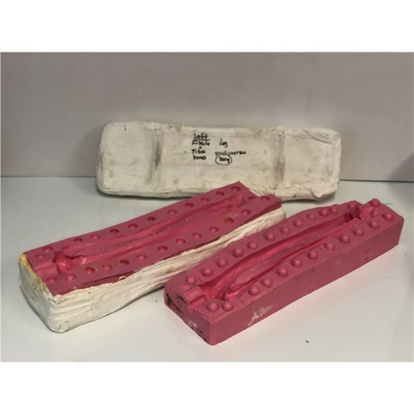 Generic left fibula & tibia bones smooth cast mold