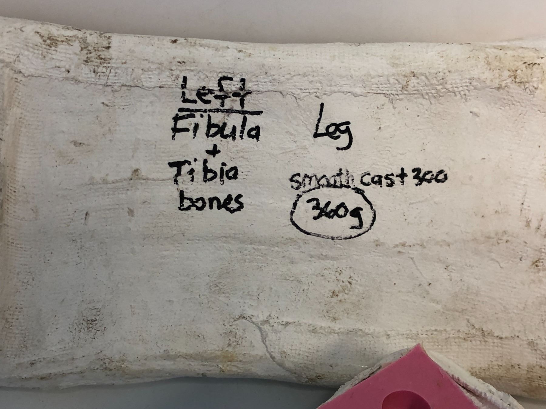 Generic left fibula & tibia bones smooth cast mold