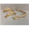 Image 1 : Group of 3 shark teeth molds