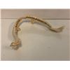 Image 2 : Group of 3 shark teeth molds