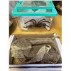 Image 1 : Snake skin & Tarantula props from special effects studio