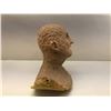Image 3 : "FREDDY vs JASON" - Freddy Kruger Foam Head Bust #247 - approx. 15in head