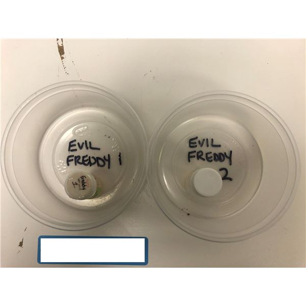 Evil Freddy 1 & Evil Freddy 2 Contact Lenses - These contacts have been used in shows. Many designed