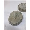 Image 8 : Twilight Zone - molds - Janik's Eyes, Tail Fins, Beaten Man Left Lobe and Beaten Man Right Lobe