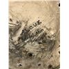 Image 3 : "A Series Of Unfortunate Events" - Bearded man bald mold