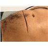 Image 2 : Misc. Generic torso wraps for bleeding cuts