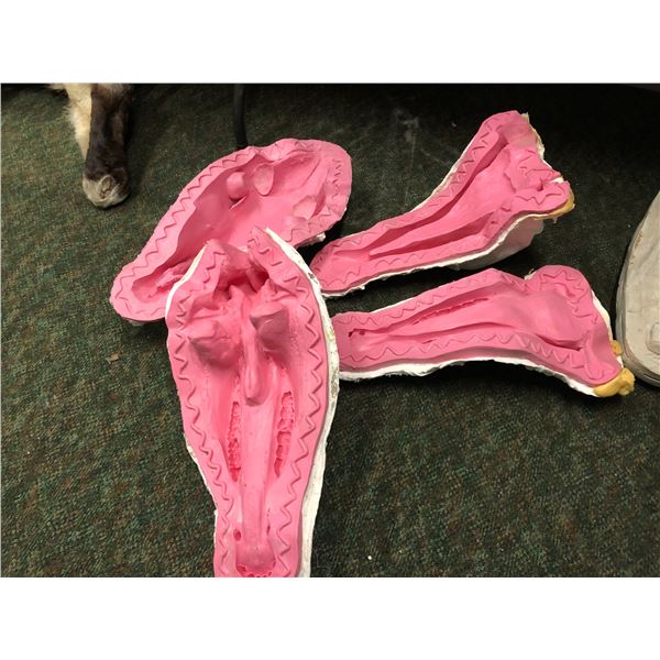 2 generic horse skull molds upper & lower jaw