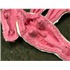 Image 2 : 2 generic horse skull molds upper & lower jaw