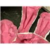 Image 3 : 2 generic horse skull molds upper & lower jaw