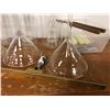 Image 2 : "Motherland: Fort Salem" - Laboratory glass canister/s funnels/ test tubes set dec items