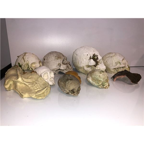 Box lot of Cast Mold Skulls