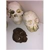 Image 3 : Box lot of Cast Mold Skulls