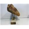 Image 5 : "Altered Carbon" - Archelogical stone display
