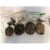 Image 5 : Box lot of Turtle shells/small skulls & Tarantula skin