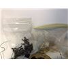 Image 7 : Box lot of Turtle shells/small skulls & Tarantula skin