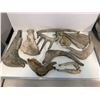Image 2 : Cow Jaws & Antlers