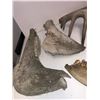 Image 8 : Cow Jaws & Antlers