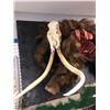 Image 3 : Wooley Mammoth Production Prop