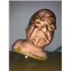Image 1 : Prop Scarred Head from movie set