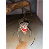 Image 2 : "Creep" - Group of 3 Taxidermy-like Props