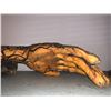 Image 2 : "Smallville" - Veiny Hand & Arm