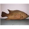 Image 4 : Group of 3 prop fish from movie set - 1 Animatronic
