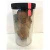 Image 1 : Fetus in jar movie prop