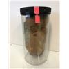 Image 2 : Fetus in jar movie prop