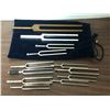 Image 1 : "Motherland: Fort Salem" - Group of 12 tuning forks
