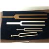 Image 2 : "Motherland: Fort Salem" - Group of 12 tuning forks