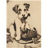 Image 1 : Etching on Paper Puppy Hare